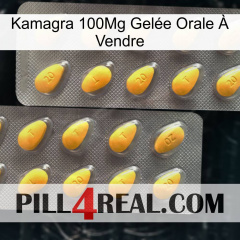 Kamagra 100Mg Gelée Orale À Vendre cialis2